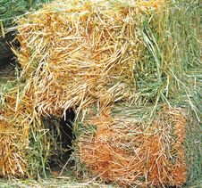 Bales Of Hay Stock Images Bales Of Hay Stock Images