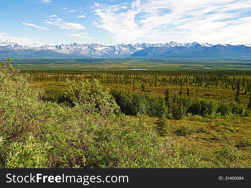 A view of mountains and wilderness in Alaska. A view of mountains and wilderness in Alaska