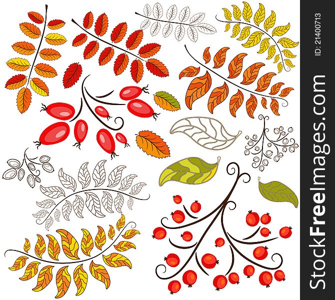 Set abstract design autumn floral element on white. Set abstract design autumn floral element on white