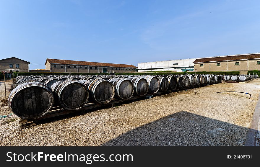 Wine barrels with vermuth, France