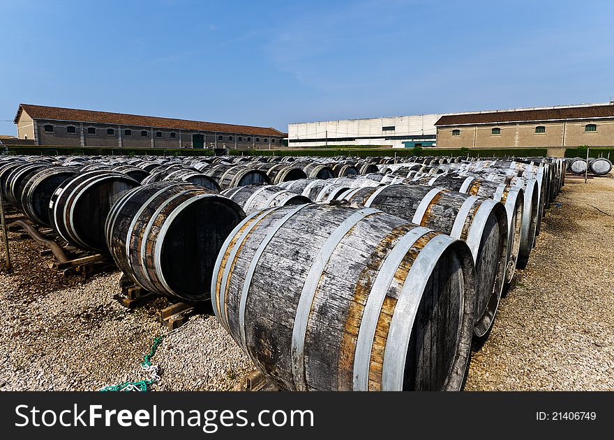 Wine barrels with vermuth, France