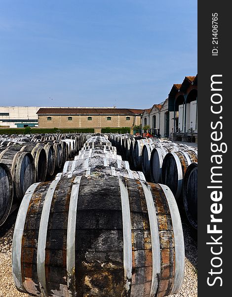 Wine barrels with vermuth, France