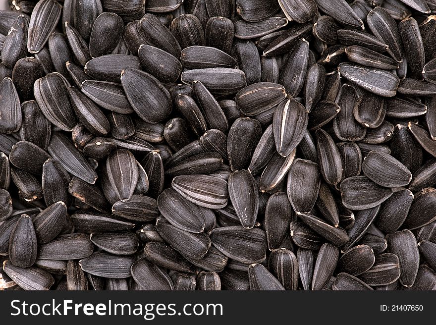 Sunflower seeds / background / 1 1