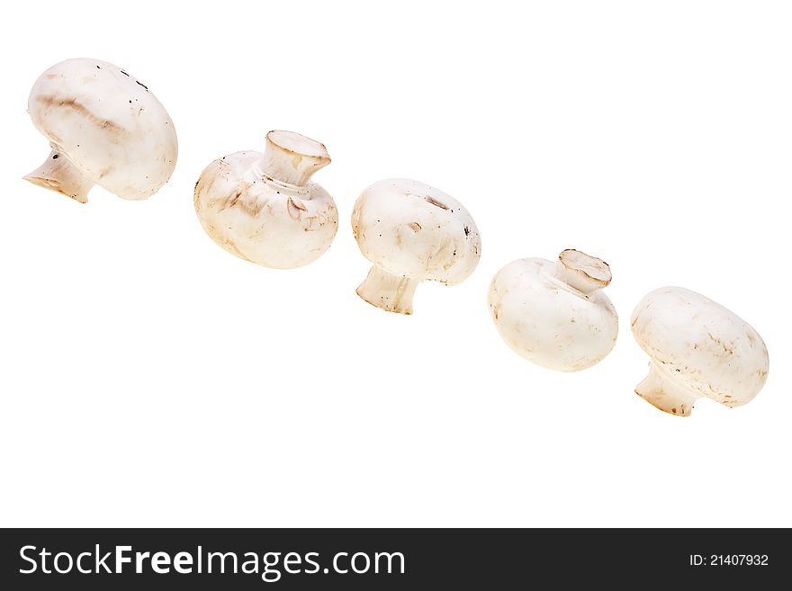 Fresh, tasty mushrooms isolated over white background. Fresh, tasty mushrooms isolated over white background.