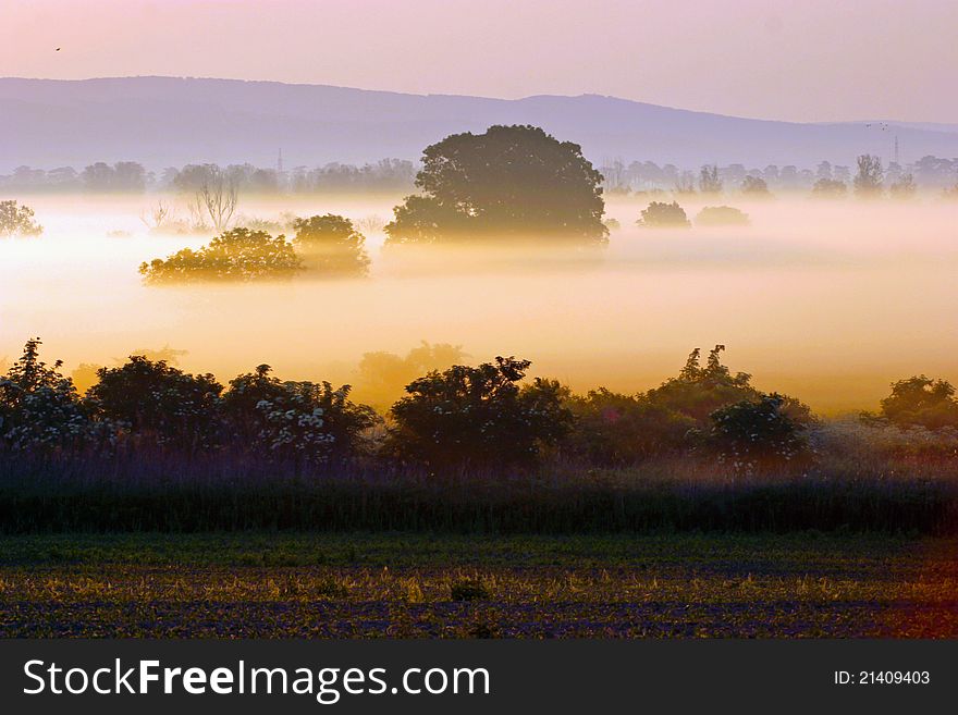 A beautyful sunset in the fog