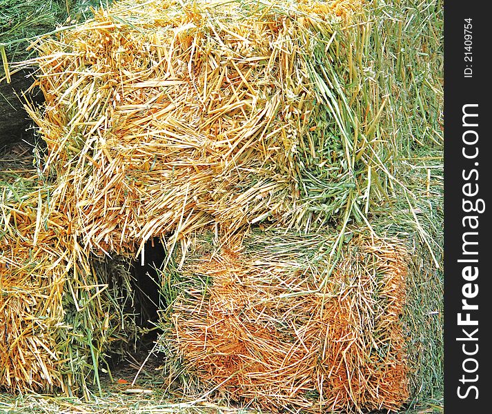 Hay bales, some green, some dried. Hay bales, some green, some dried