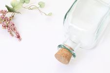 Glass Bottle And Grapes Stock Photos Glass Bottle And Grapes Stock Photos