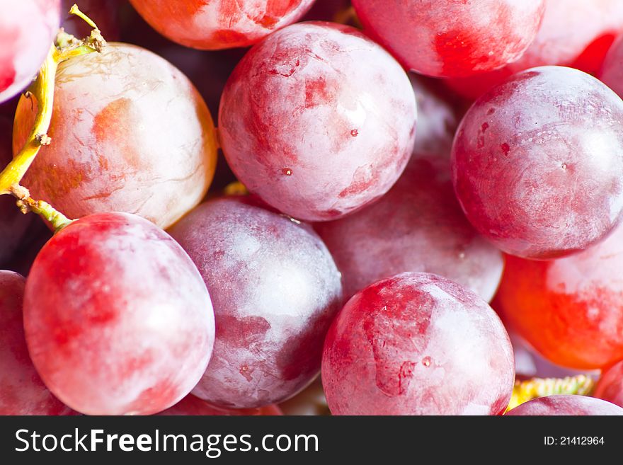 Red grape  on white background.