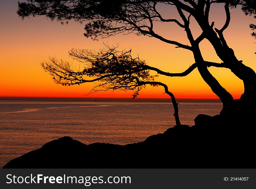 Beautiful beach at sunrise wih trees