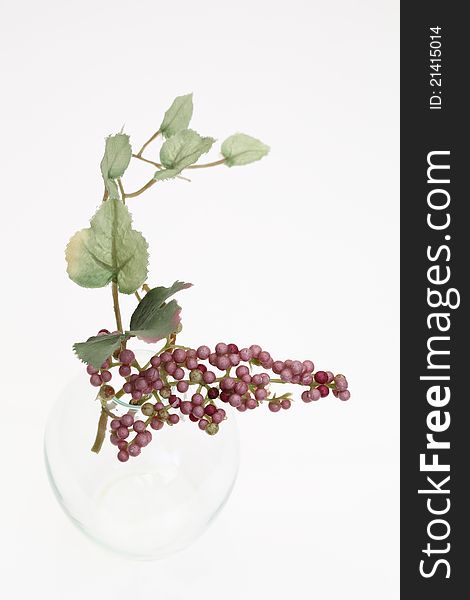 Glass bottle and grapes, on white background