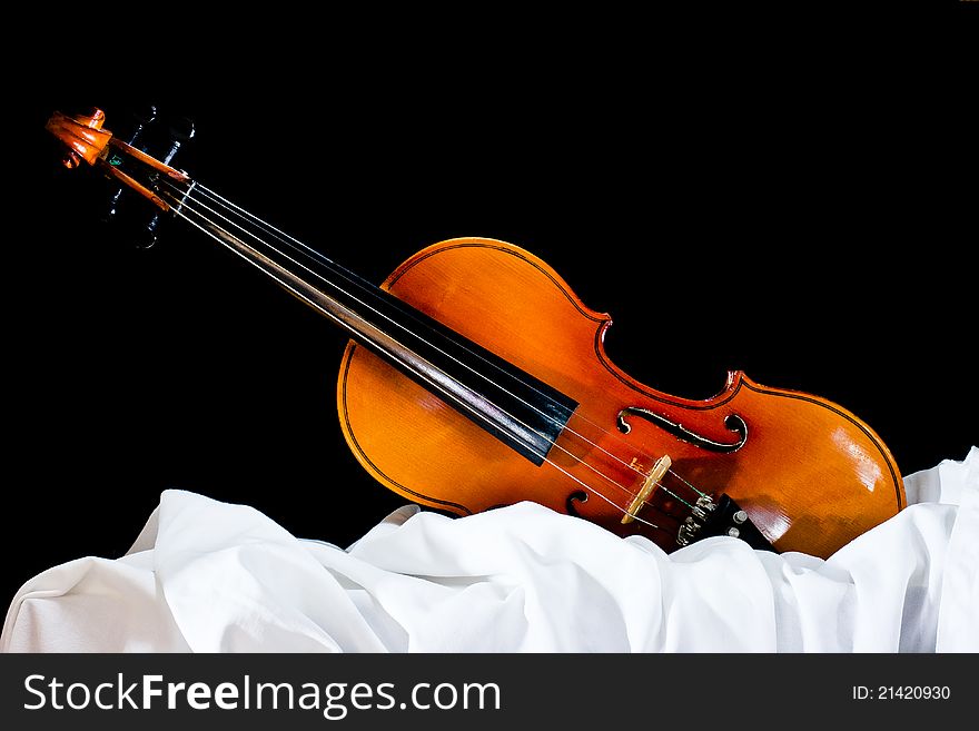 Orange on the old violin wood frame. Orange on the old violin wood frame