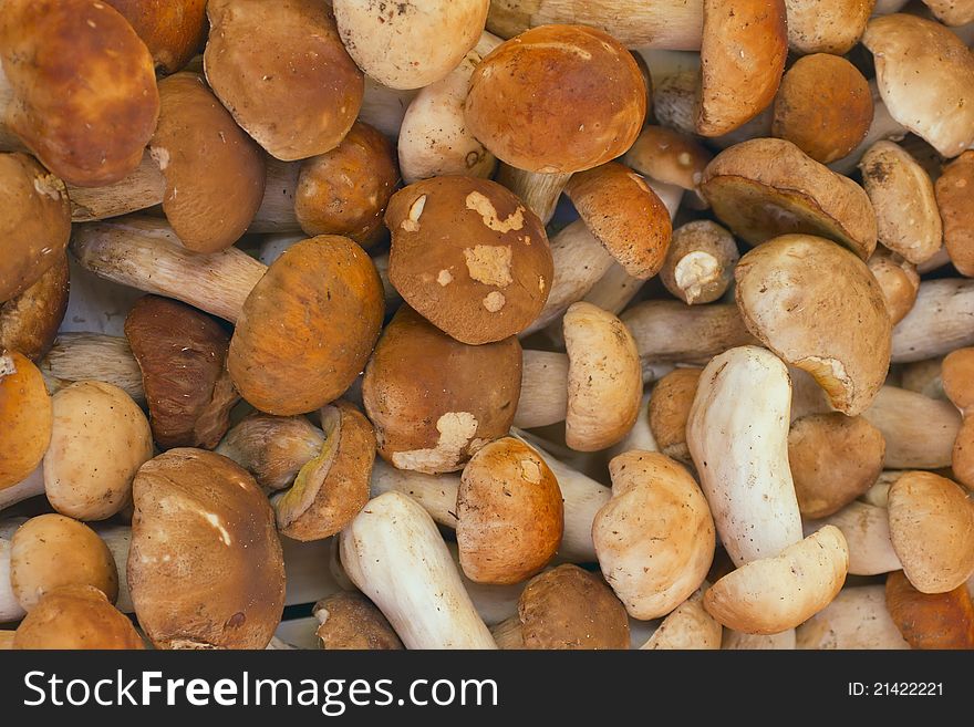 Mushrooms At A Market