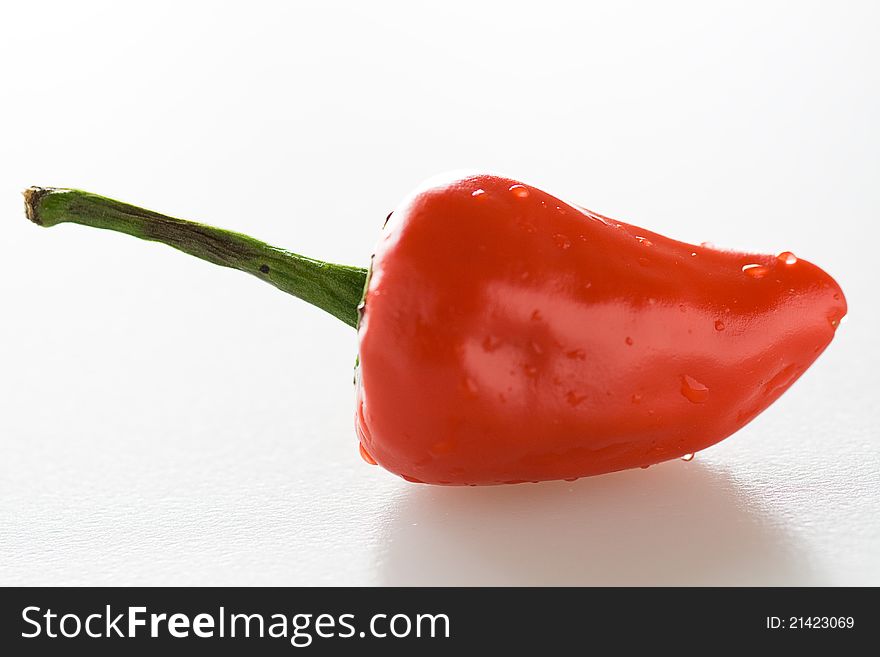 One Chilli pepper on white background