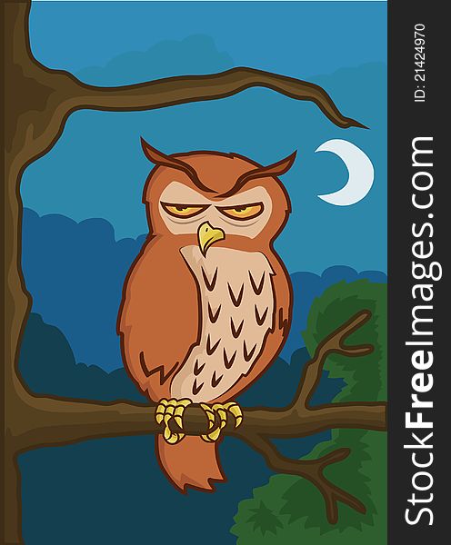 Owl sitting on branch at night. Owl sitting on branch at night