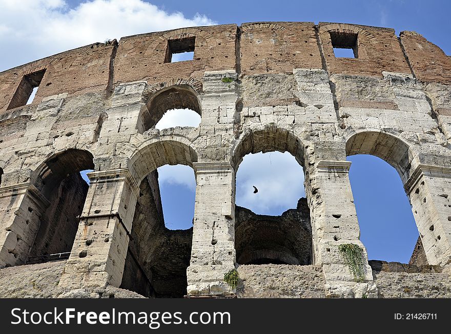 Colosseum detail in the historical center of Rome in Italy. Colosseum detail in the historical center of Rome in Italy