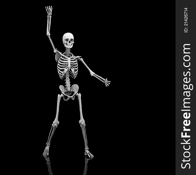 A skeleton in his scary pose for halloween. A skeleton in his scary pose for halloween