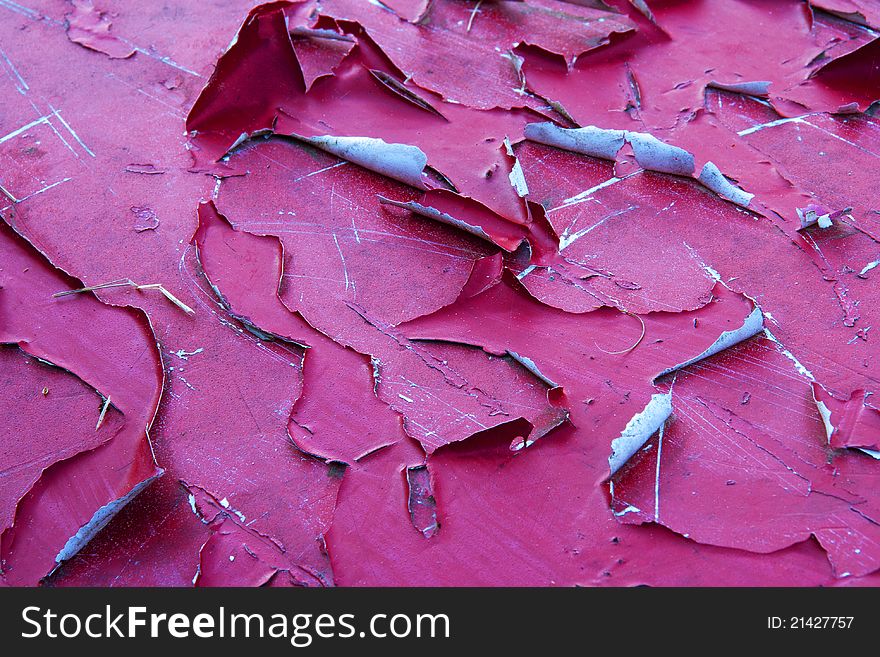 Red paint curls off a sheet of metal. Red paint curls off a sheet of metal