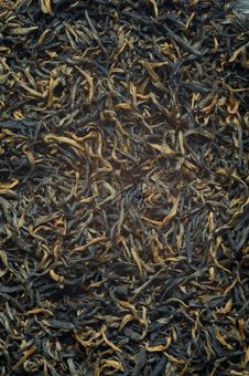 Black Tea Loose Dried Tea Leaves, Texture Stock Photos