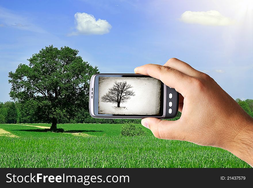 Man hand with hand taking photo of tree in meadow