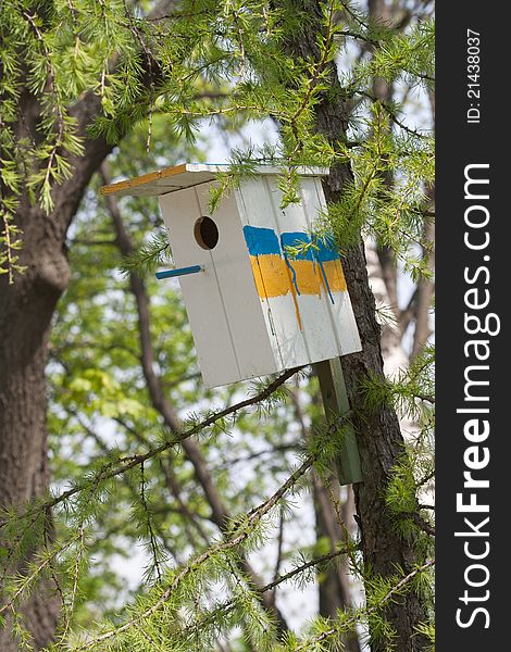 Birdhouse In A Tree