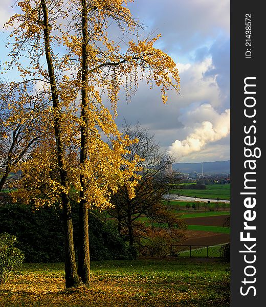 Photo of autumn trees in the background of a nuclear station. Photo of autumn trees in the background of a nuclear station
