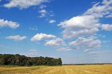 Yellow Over Green. Royalty Free Stock Images Yellow Over Green. Royalty Free Stock Images