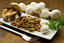 Mushrooms Royalty Free Stock Photography Mushrooms Royalty Free Stock Photography