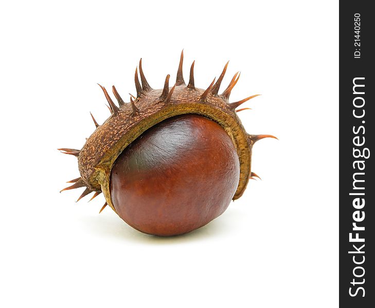 Ripe chestnuts with peel on a white background closeup. Ripe chestnuts with peel on a white background closeup