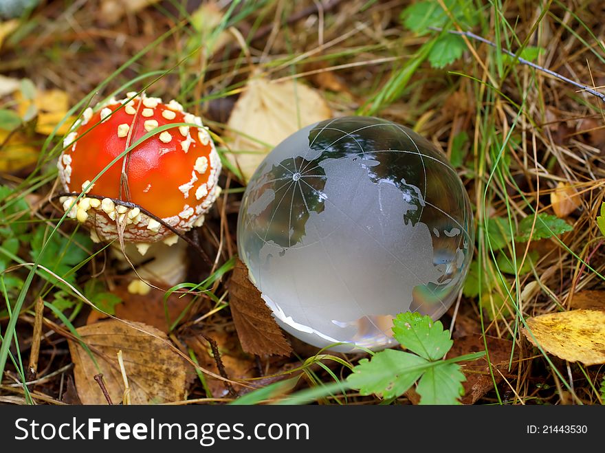 Amanita mushroom and crystal-clear Glass Globe. Amanita mushroom and crystal-clear Glass Globe