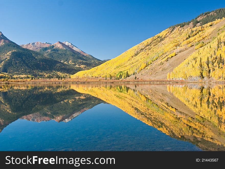 Fall reflects golden aspens in Crystal Lake near Ouray Colorado. Fall reflects golden aspens in Crystal Lake near Ouray Colorado