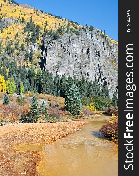 River runs yellow in the high country of Colorado in Fall. River runs yellow in the high country of Colorado in Fall