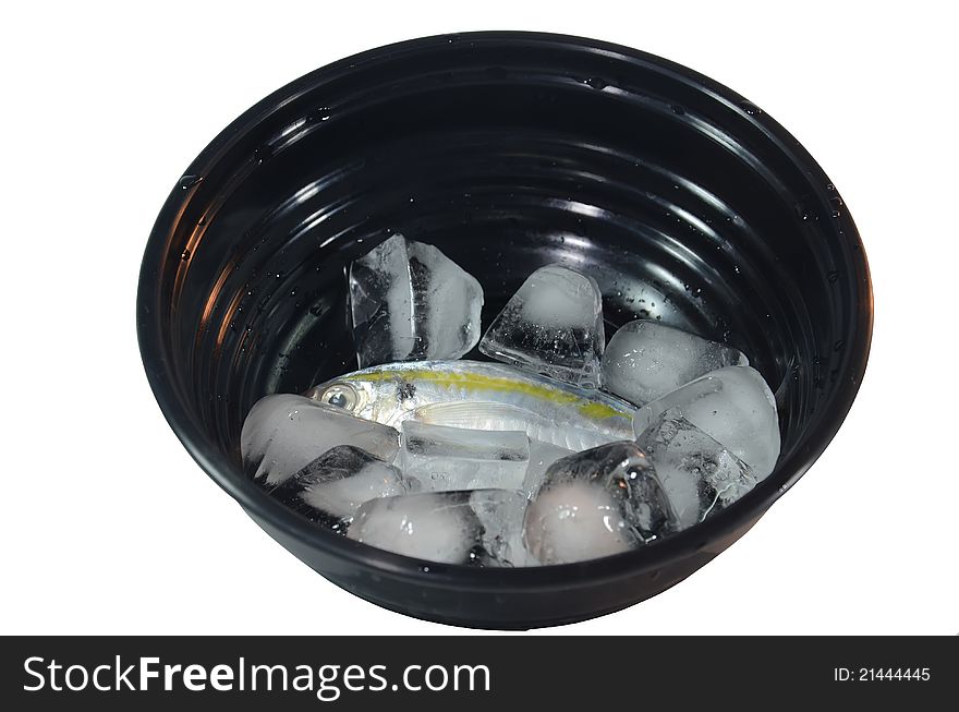 Fish On Black Bowl with ice white background.
