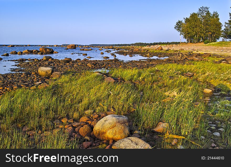 Summer evening on the shore of Lake