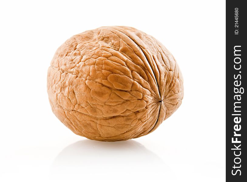 Walnut in shell on white background