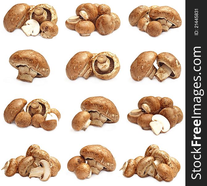 Collection fresh mushrooms champignons isolated on white background