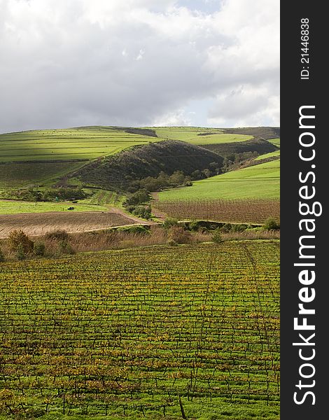 Green valley and hill rural farm landscape with vineyard and crop fields. Green valley and hill rural farm landscape with vineyard and crop fields