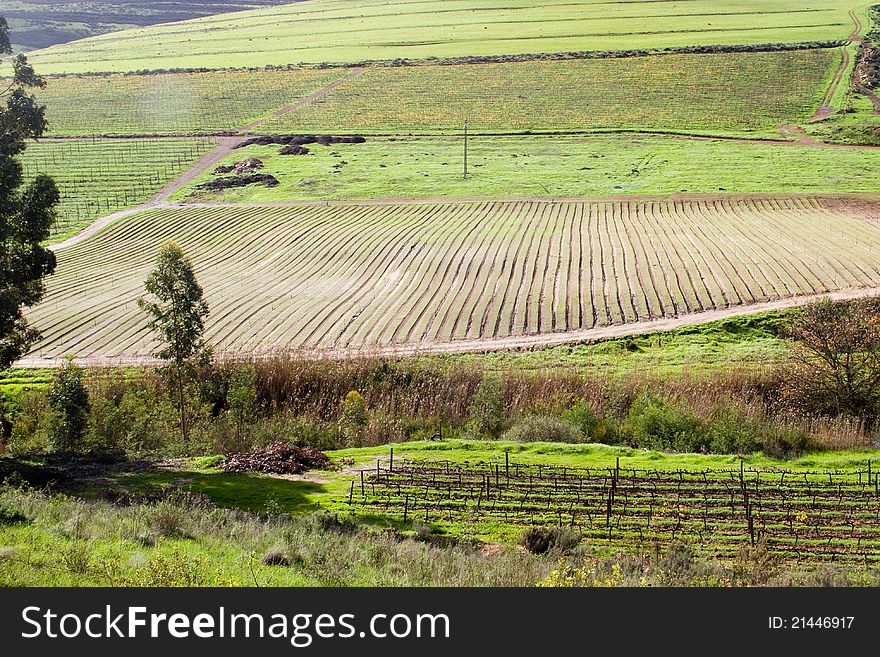 Fertile valley with vineyard and crop fields