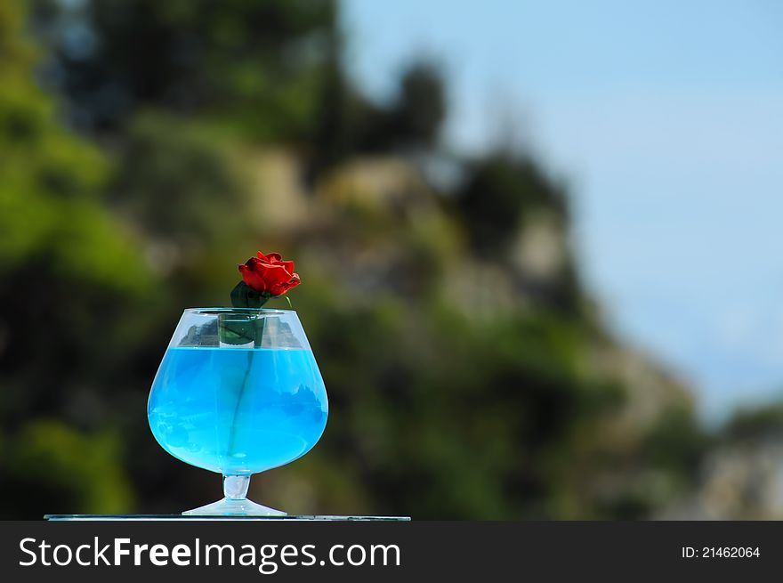 Vase with blue water and red rose