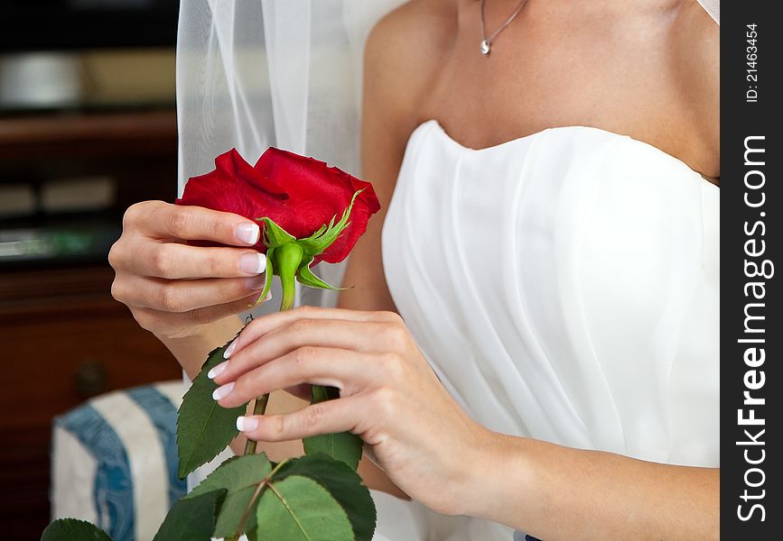 Bride With Red Rose