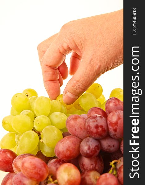 Female hand picking fresh grapes. Close up on white background