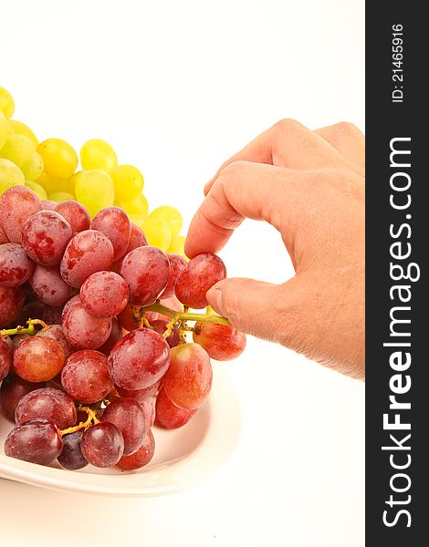 Female hand picking fresh grapes. Close up on white background