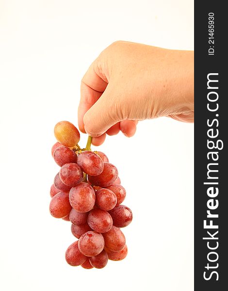 Female hands holding fresh grapes. Close up on white background