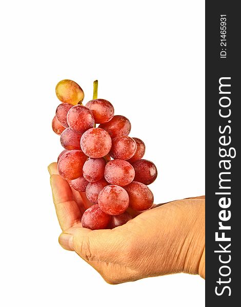 Female hands holding fresh grapes. Close up on white background.