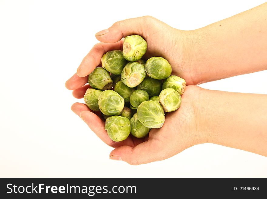 Female hands holding fresh Brussels sprouts. Picture taken from above. Close up on white background