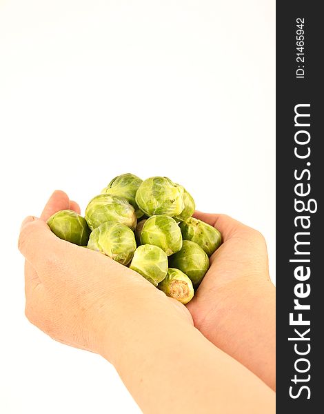 Female hands holding fresh Brussels sprouts. Close up on white background