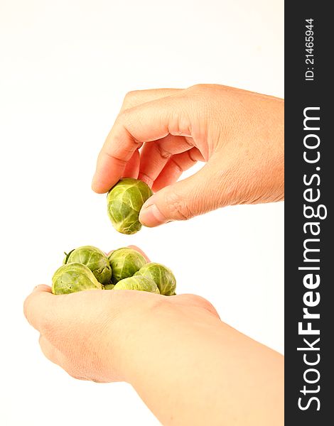 Female hands holding fresh Brussels sprouts. Close up on white background