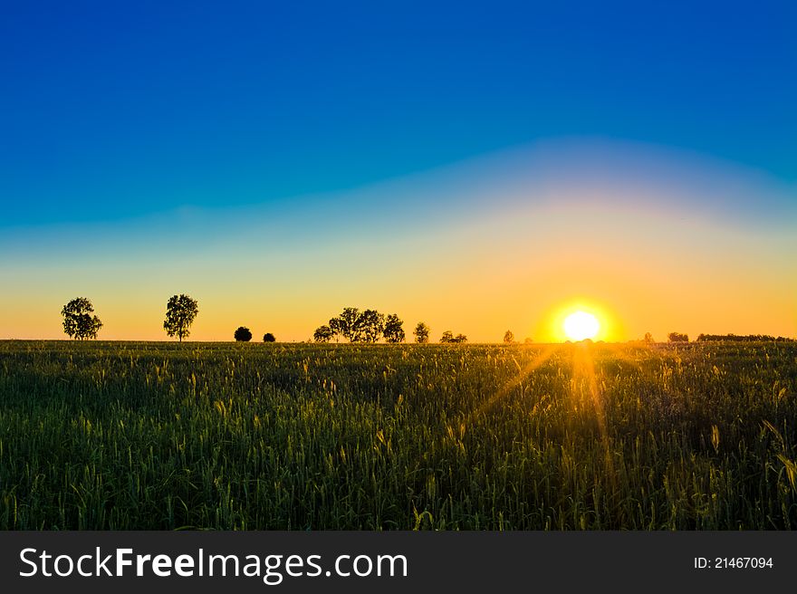 Green field and beautiful sunset. Green field and beautiful sunset