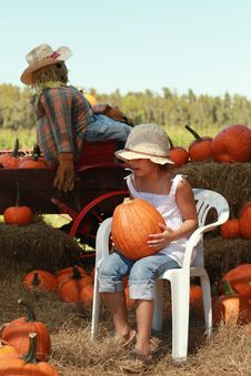 Girl In A Halloween Pumpkin Patch Stock Photos Girl In A Halloween Pumpkin Patch Stock Photos