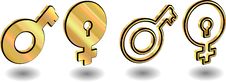 Male And Female Symbols,  Vector Illustrations. Stock Images