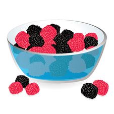 Wild Berries In Bowl Stock Images Wild Berries In Bowl Stock Images